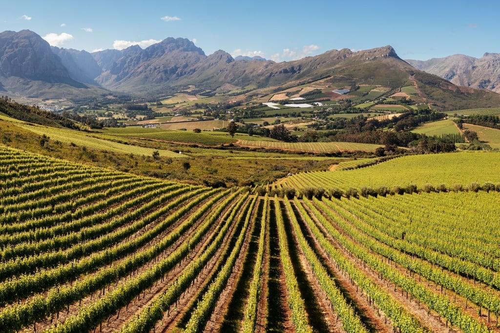 Stellenbosch