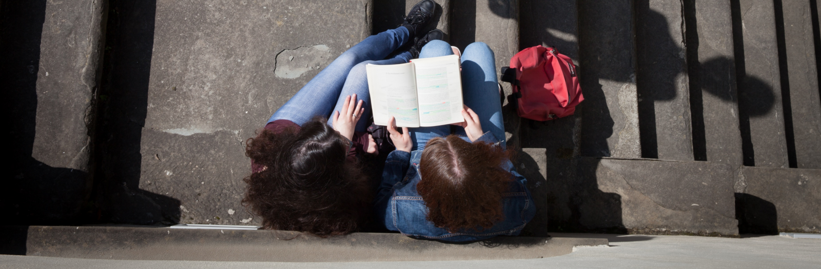 Home Department of Foreign Languages, Literatures and Cultures