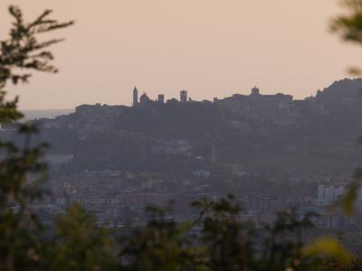 Bergamo CILC2020 - III